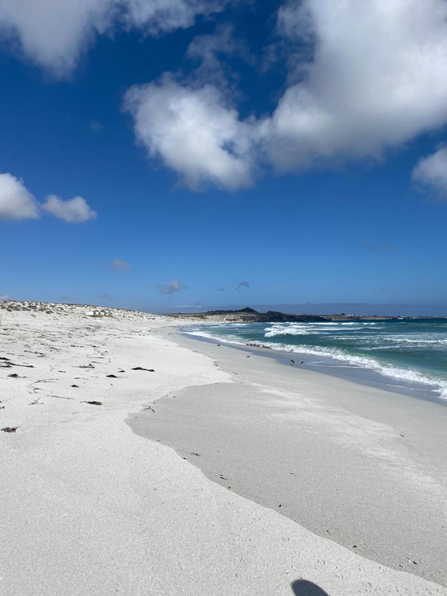 Punta De Choros Lodge מראה חיצוני תמונה